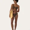 Fashion Ava Bikini Brief Chocolate Swimwear
